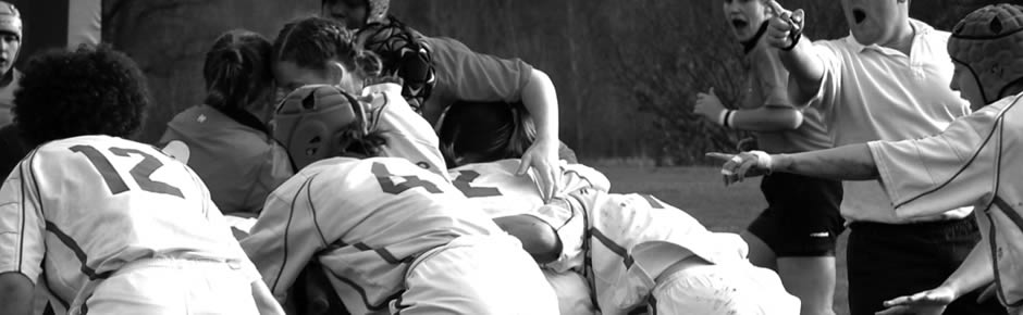 骚扰短信呼叫软件